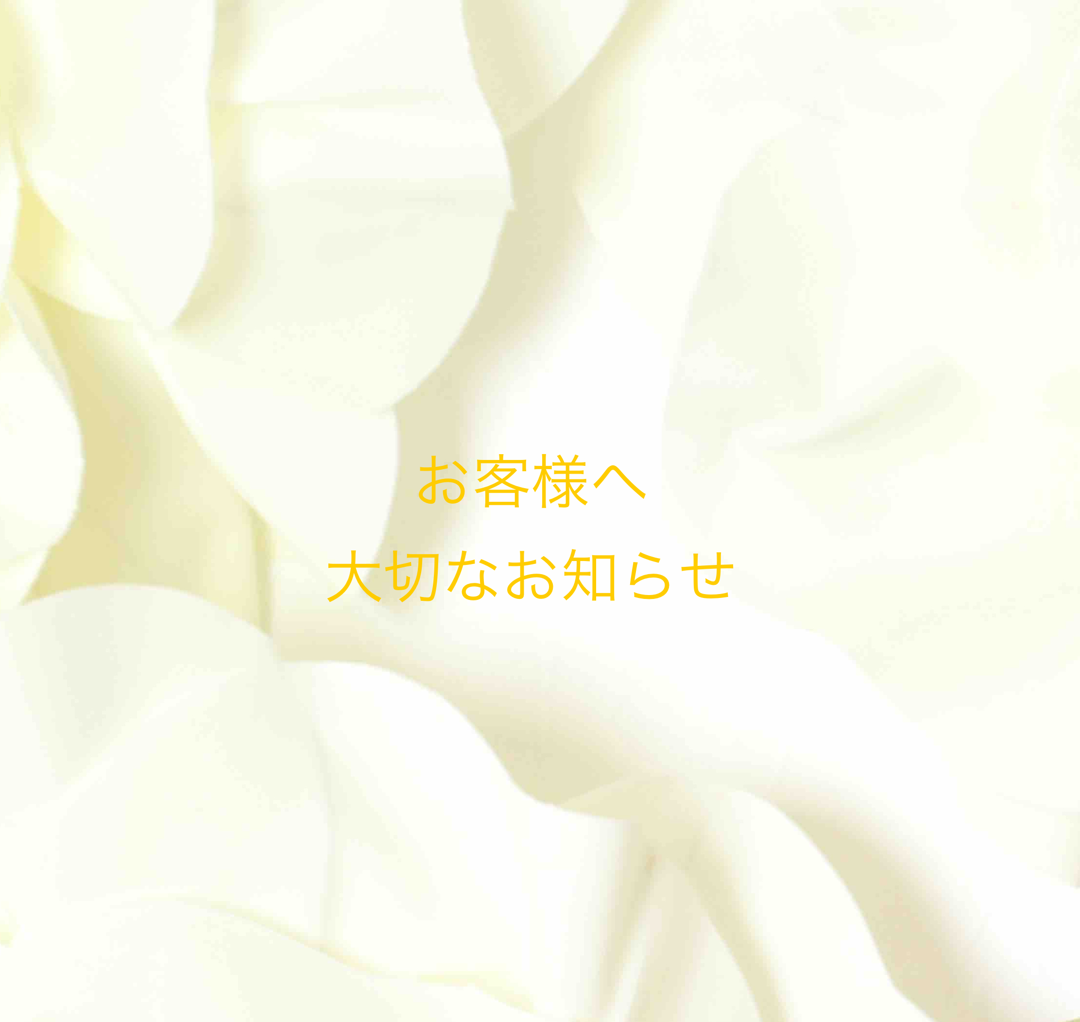 あかねの最新情報