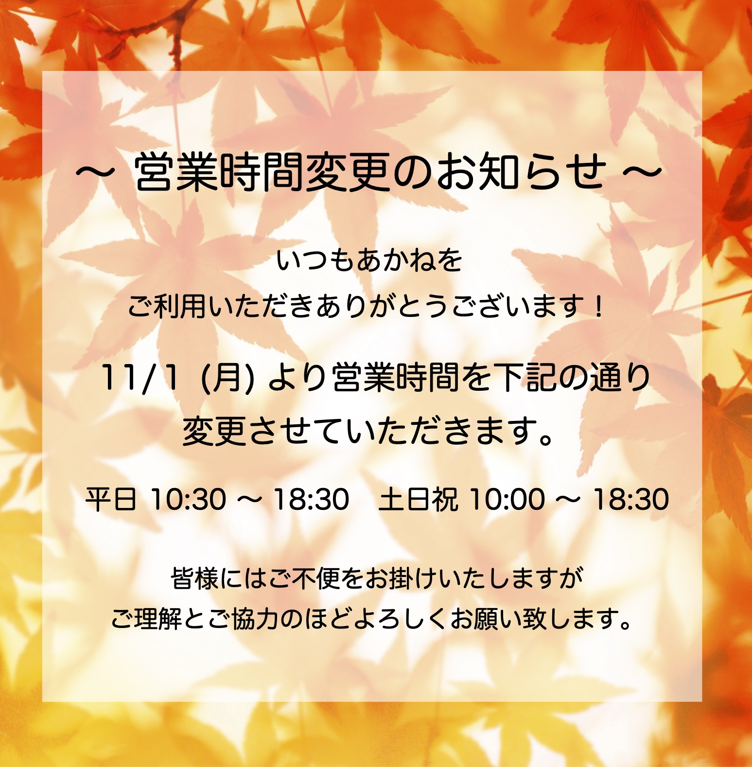 あかねの最新情報
