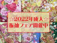 あかねの最新情報