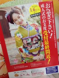 あかねの最新情報