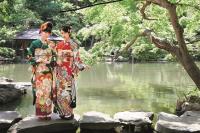 あかねの最新情報