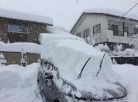 あかねの最新情報