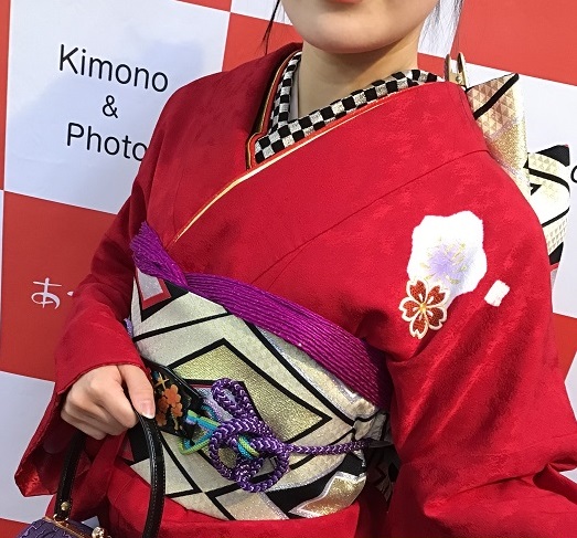 振袖,柄,少なめ,色,北陸