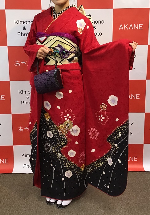 振袖,柄,少なめ,色,北陸
